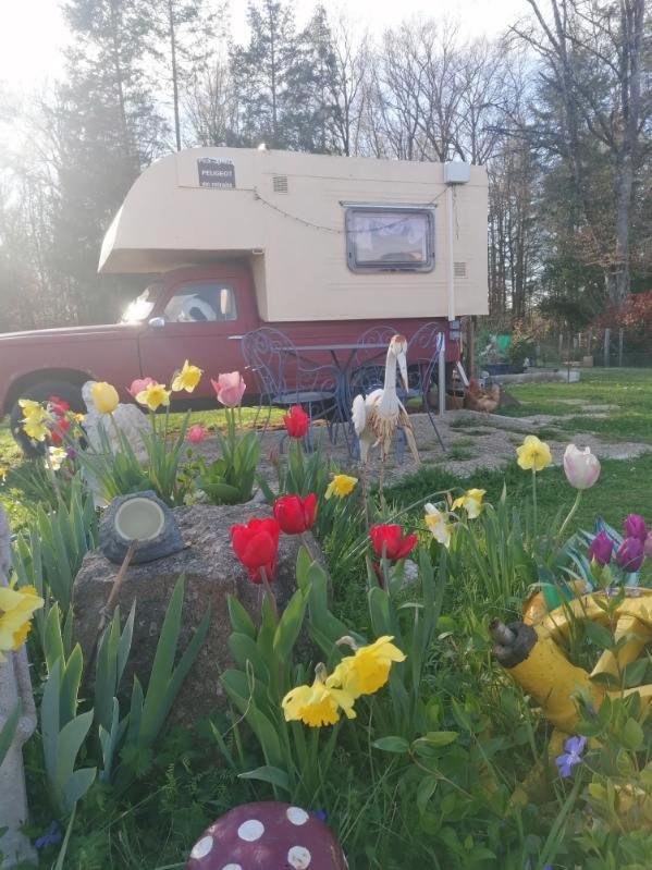La Roulotte Des Trois Arbres Bed and Breakfast Oradour-sur-Glane Εξωτερικό φωτογραφία